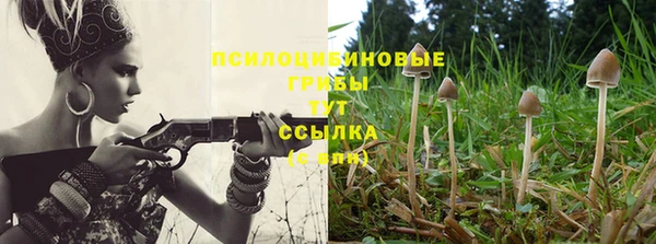 гидра Бородино