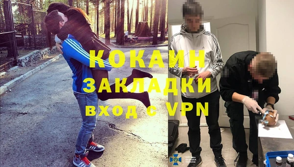 гидра Бородино