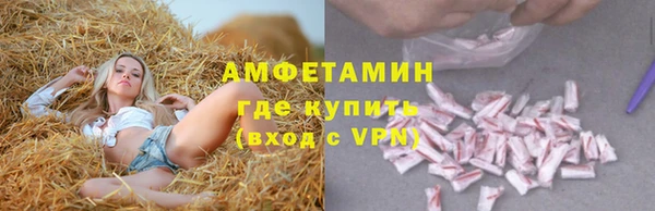 гидра Бородино