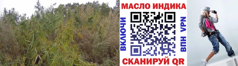 ТГК гашишное масло  hydra маркетплейс  Бийск 